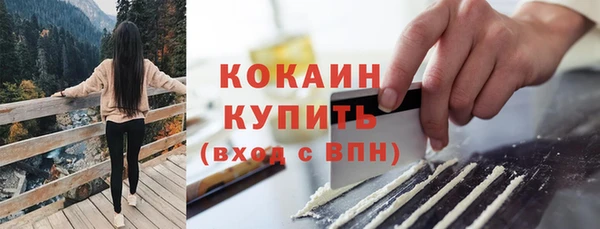 тгк Алексин