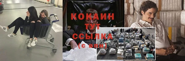 твердый Алексеевка