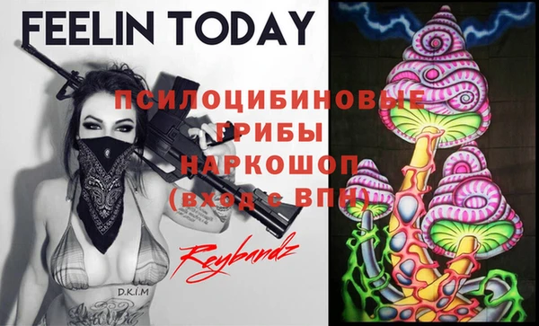 тгк Алексин
