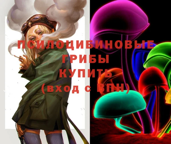 твердый Алексеевка