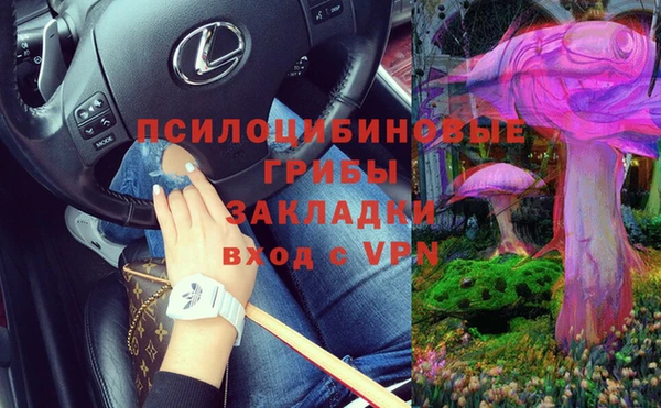 твердый Алексеевка