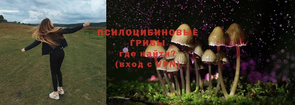 тгк Алексин