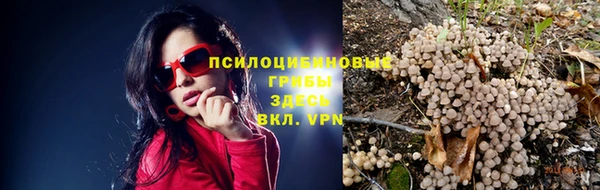 тгк Алексин