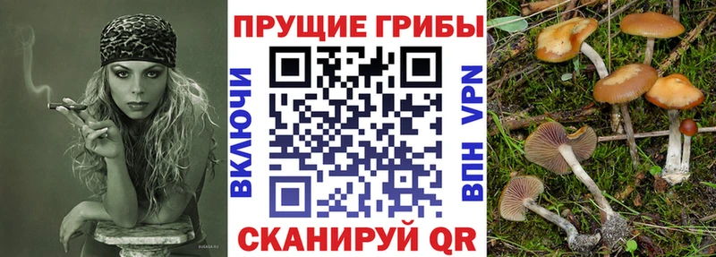 Галлюциногенные грибы мухоморы Зуевка
